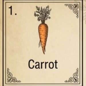 Raw Organic Carrot Juice